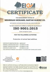 iso9001