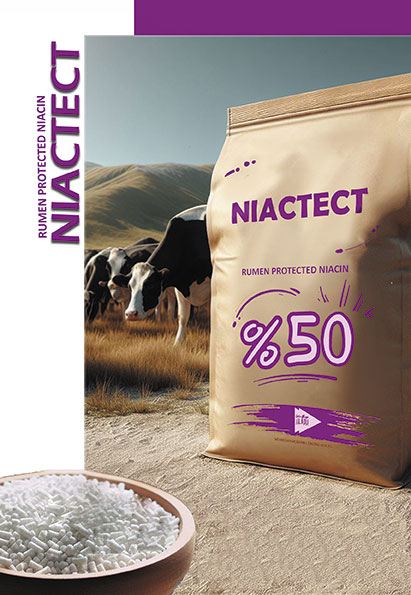 What Is NIACTECT